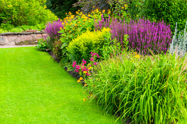 Lawn & borders